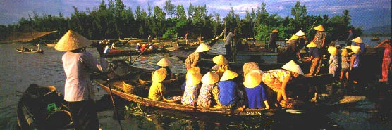 Hoi An Town Fishmarket