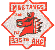 mustang patch