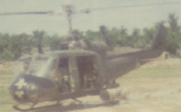 Loaded Falcon